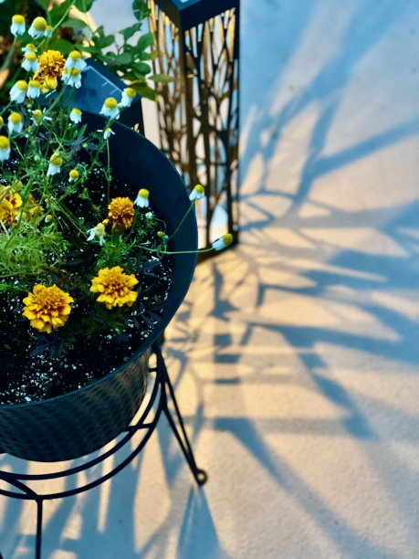 露台甲板上的太阳能照明图片下载