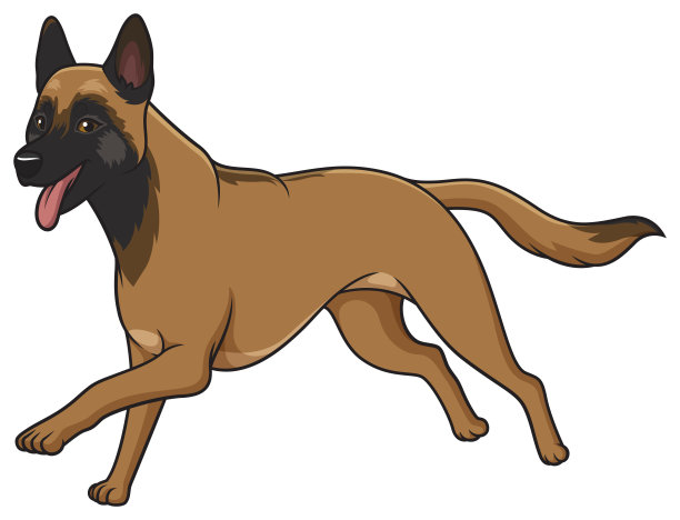 比利时牧羊犬奔跑卡通插画图片下载