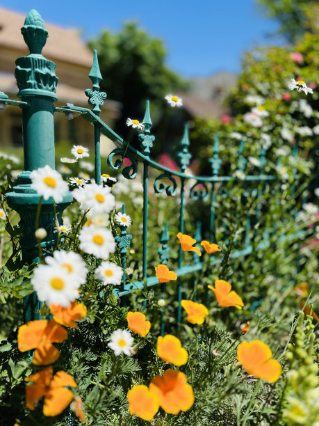 铁门正式花园春天开花•股票照片图片下载