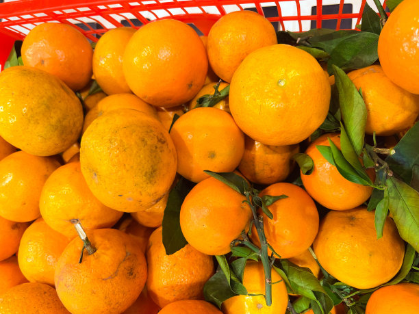 超市里出售的新鲜橙子图片下载