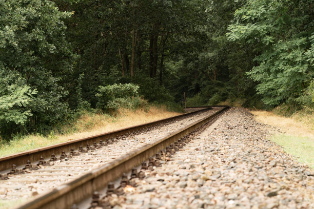 森林中的铁轨，穿越时空的旅程，无尽的可能性和未来的不确定性，躲避日常生活的喧嚣和喧嚣的概念图片下载