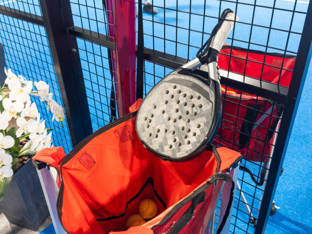 桨运动在桨球场，球，球拍图片下载