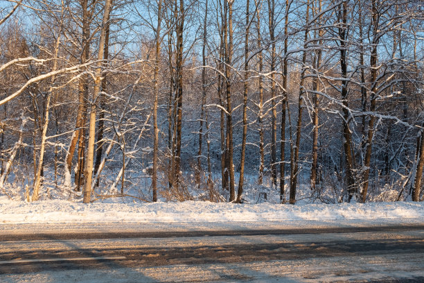 日落时冬日森林里被雪覆盖的道路。冬季景观与道路出版，海报，日历，邮政，屏幕保护程序，壁纸，明信片，横幅，封面，图片为网站。高质量照片图片下载