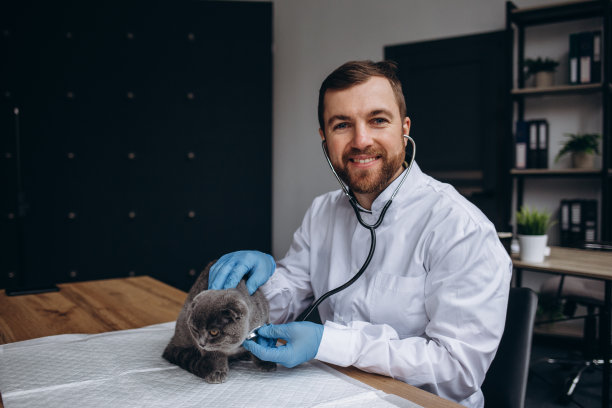 一个年轻英俊的大胡子专业兽医微笑着愉快地在办公室工作，抚摸着体检后的漂亮猫，照片版权空间医生医学专业安慰放松图片下载