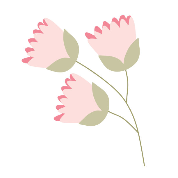 粉红色扁平卡通花的分支孤立在白色背景上。手绘矢量植物学插图装饰，卡片和婚礼邀请设计，母亲节和其他庆祝活动。图片下载