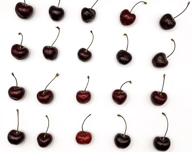 新鲜的红樱桃水果在盘子上的白色背景的特写。高质量照片图片下载