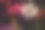 闪闪发光的彩色烟花创造了一个令人惊叹的展示。图片下载
