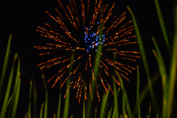 璀璨的金烟花照亮了天空图片下载