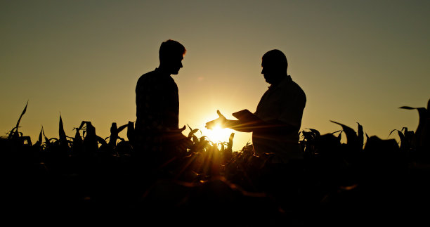 两个农民在田野里谈话的剪影，映衬着风景如画的日落，用的是平板电脑。图片下载