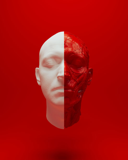 红白解剖头部生物科学覆盖三维物体红色背景图片下载