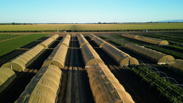 航拍照片，日落时北加州的农业设施和温室图片下载