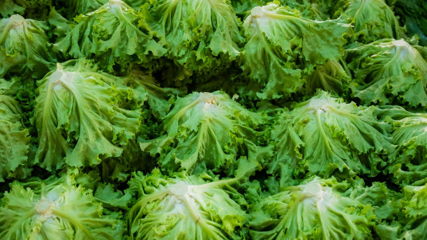 集市上摆放着蔬菜沙拉的架子的俯视图。图片下载