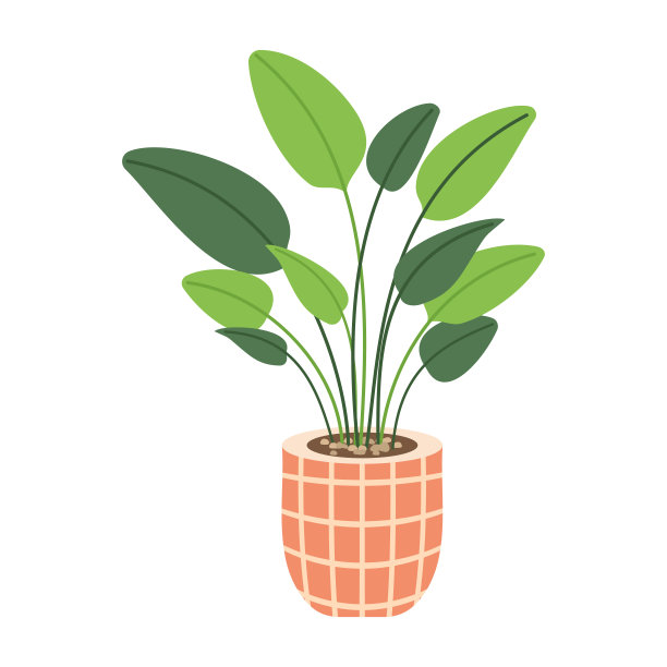 植物在锅矢量插图。卡通平面不同的室内盆栽装饰室内植物用于室内家庭或办公室装饰，绿色的花园花卉收藏图标孤立于白色图片下载