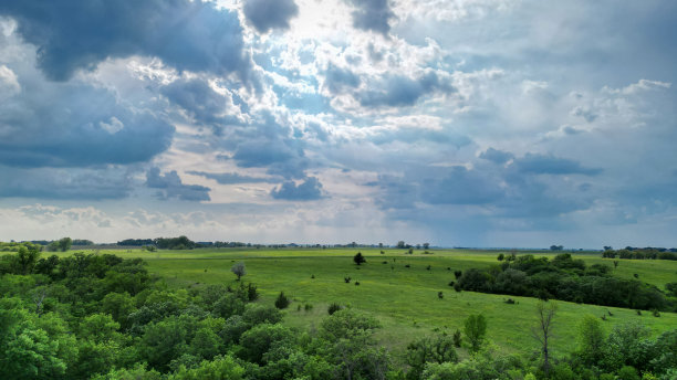 绿地树木上空的阴天风暴蓝色天空无人机航拍照片图片下载