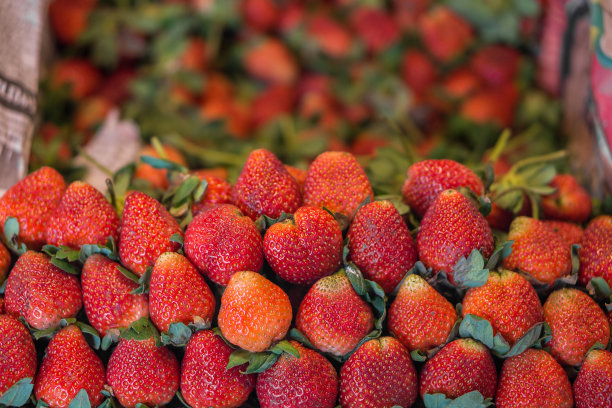 一堆成熟的花园草莓(Fragaria x ananassa)零售。图片下载