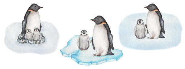 水彩插图集。手绘企鹅家族与小企鹅，在雪，冰块上的石头巢里筑巢。不会飞的海鸟。南极。帝企鹅图片下载