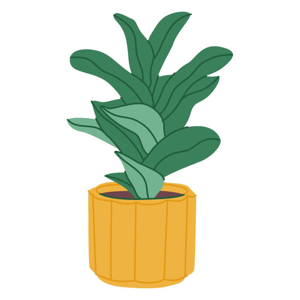 盆栽室内植物。绿叶室内植物生长在花盆里。室内盆栽植物装饰。图片下载