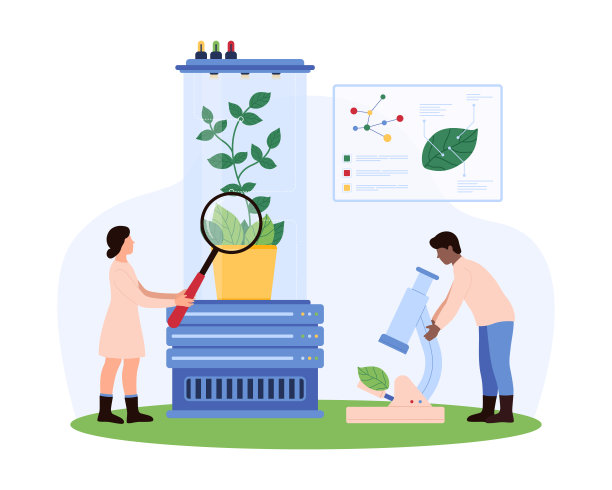 在自然疗法实验室概念中分析植物样本图片下载