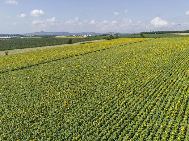 小企业、农业图片下载