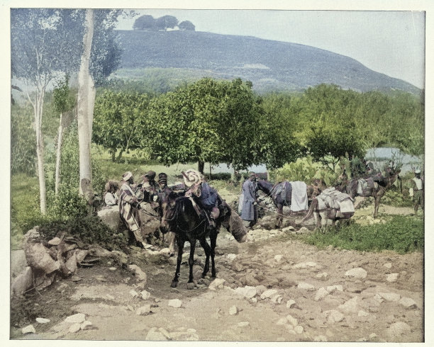 维多利亚圣地旅游商队在多森，骡子火车，19世纪90年代，19世纪，古照片图片下载