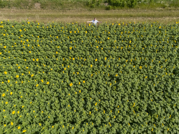 小企业、农业图片下载