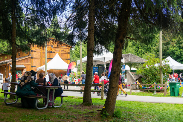 2024年加拿大日图片下载