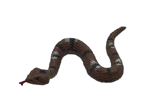 这个玩具是一条在白色背景上伸出舌头的蛇图片下载