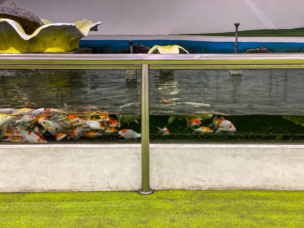 水族馆图片下载