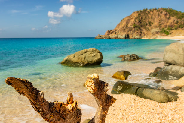 在圣巴泰勒米(圣巴特，圣巴特)加勒比海的海滩上，许多贝壳的特写照片图片下载