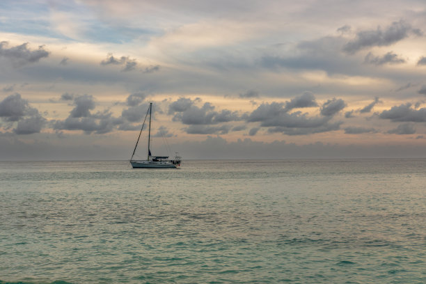 在圣巴泰勒米(圣巴特，圣巴特)加勒比海的海滩上，许多贝壳的特写照片图片下载