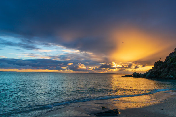 在圣巴泰勒米(圣巴特，圣巴特)加勒比海的海滩上，许多贝壳的特写照片图片下载