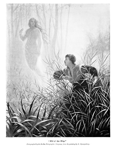 年轻男子在灌木丛中追逐幻想中的女人图片下载