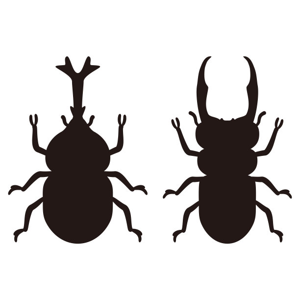 雄犀牛甲虫和雄鹿角甲虫的剪影图片下载