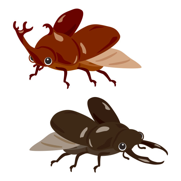 会飞的犀牛甲虫和鹿角甲虫图片下载