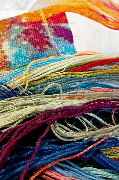 国内黑色缅因浣熊的肖像。猫看相机的特写照片。关注眼睛。图片下载