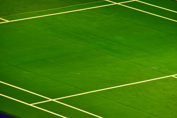 羽毛球场的场景。室内羽毛球场图片下载