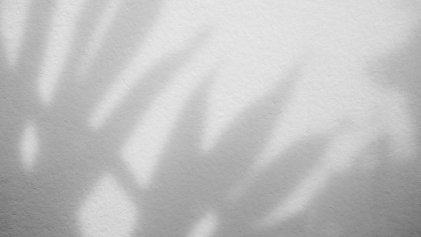 阴影背景抽象离开覆盖墙地板灯光效果白色植物阳光背景模型最小春夏自然灰色模糊摄影场景模板海报卡片框架产品。图片下载