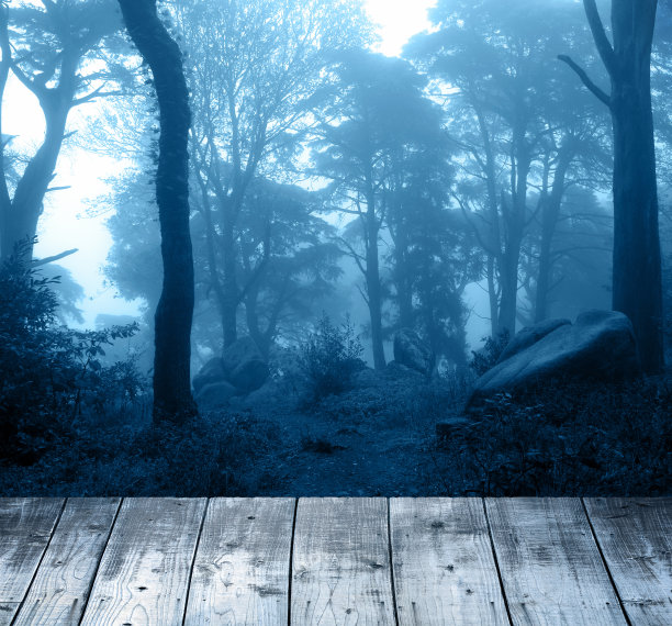 万圣节的横幅上有可怕的林地和空白的木制桌面。木质露台地板和夜间森林。可怕的神秘林地。照片调成蓝色图片下载