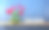 新年2025创意设计理念与花图片下载