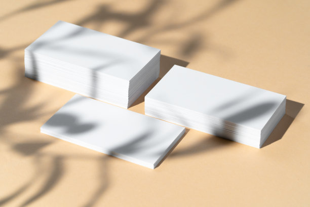 创意照片与白色名片在米色背景花卉阴影图片下载