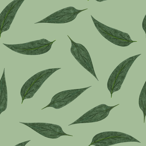 Topinambur绿叶无缝图案。花卉数码纸。图片下载