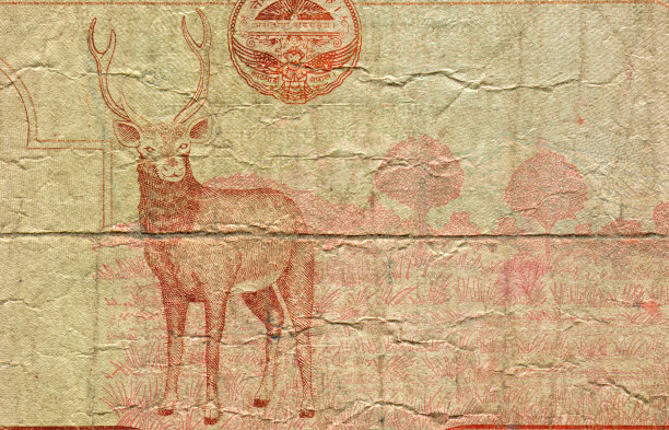 桑巴图案设计尼泊尔卢比钞票图片下载