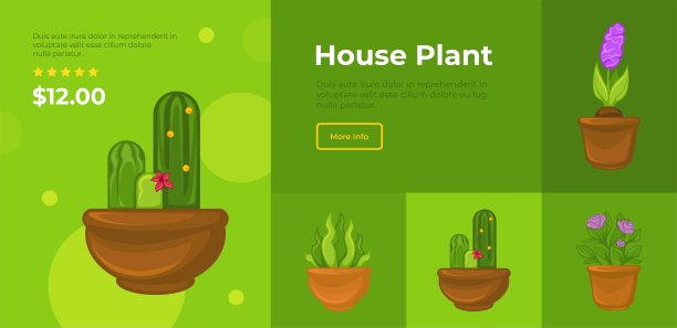 房屋植物网站与花卉，商店目录图片下载