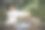 女士伸展手臂抬起坐姿不正确的家庭办公室办公桌。年轻的亚洲妇女背部疲劳的身体压力背部疼痛办公室综合症。女性在家工作新常态图片下载