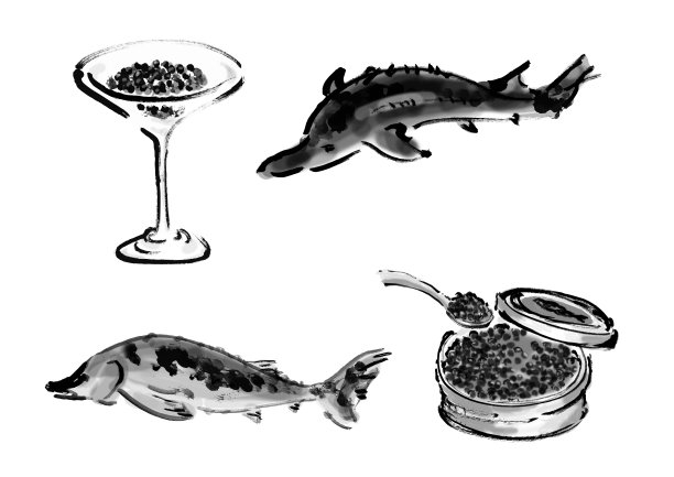 蝴蝶鲨鱼和鱼子酱日式手绘毛笔剪贴画图片下载