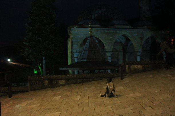 在黑暗的时刻图片下载