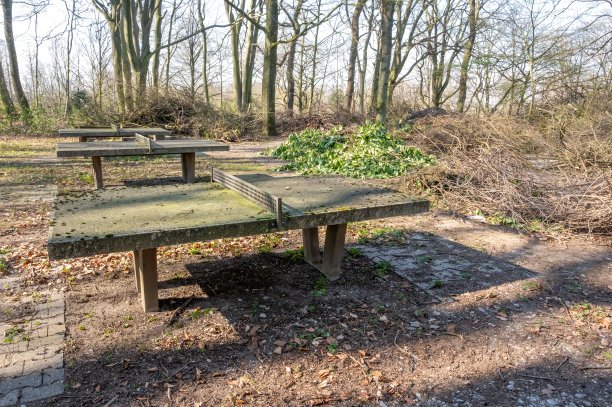 公园外保养不善的乒乓球桌图片下载