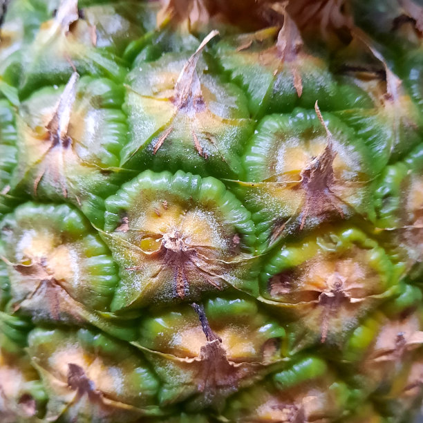 菠萝皮:产自印度尼西亚的热带水果，有酸甜的味道，颜色黄色图片下载