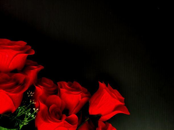曝光不足的照片，一束红玫瑰孤立在黑色背景图片下载