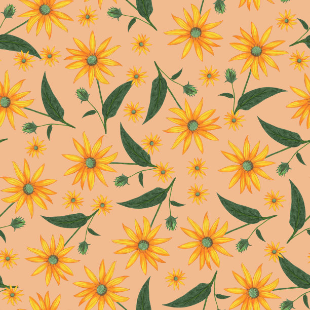 Topinambur花无缝图案。花卉数码纸。图片下载